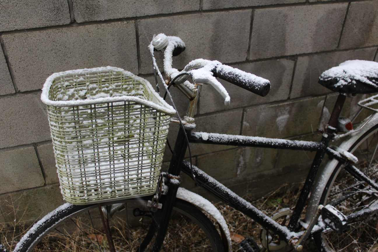 Tocón de invierno