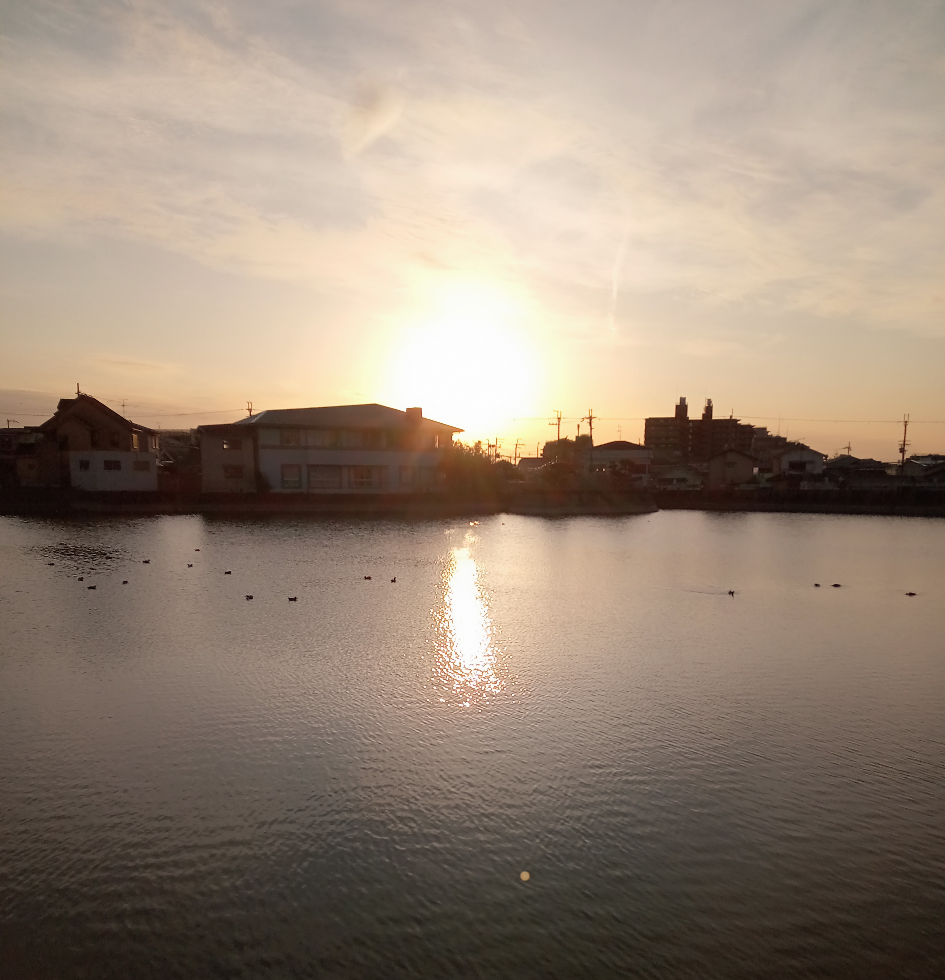 Veo el Sol ( 堺の夕日)