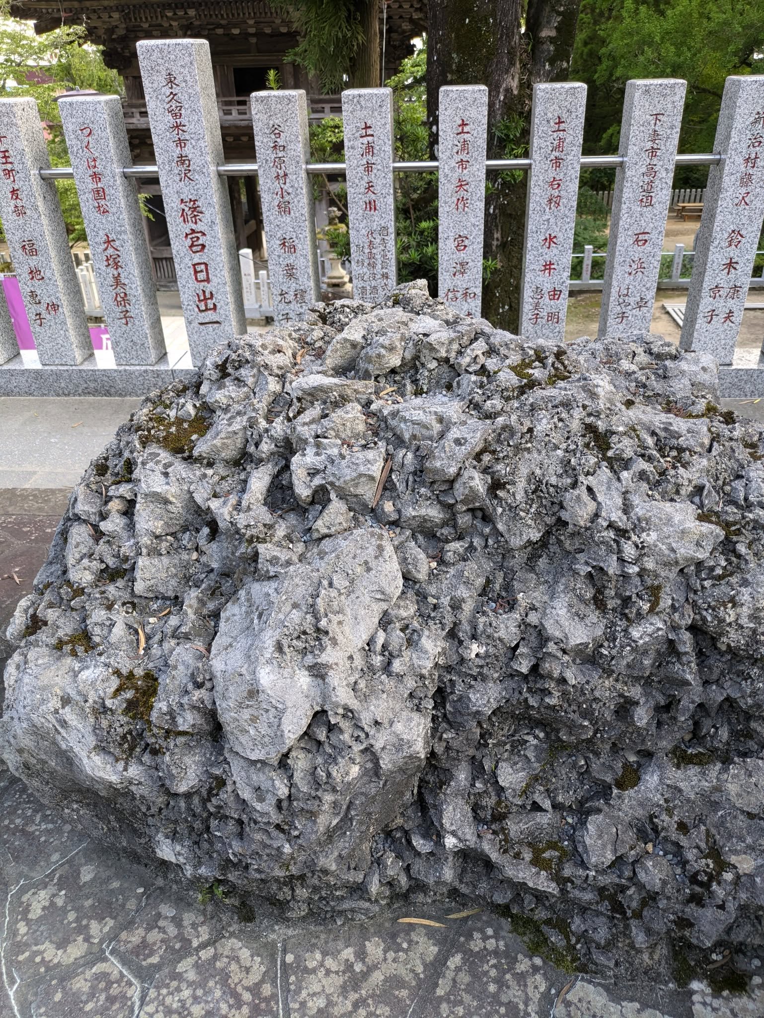 Esto que ves no es una piedra (君が見ているのは石ではなく、山の種だ)