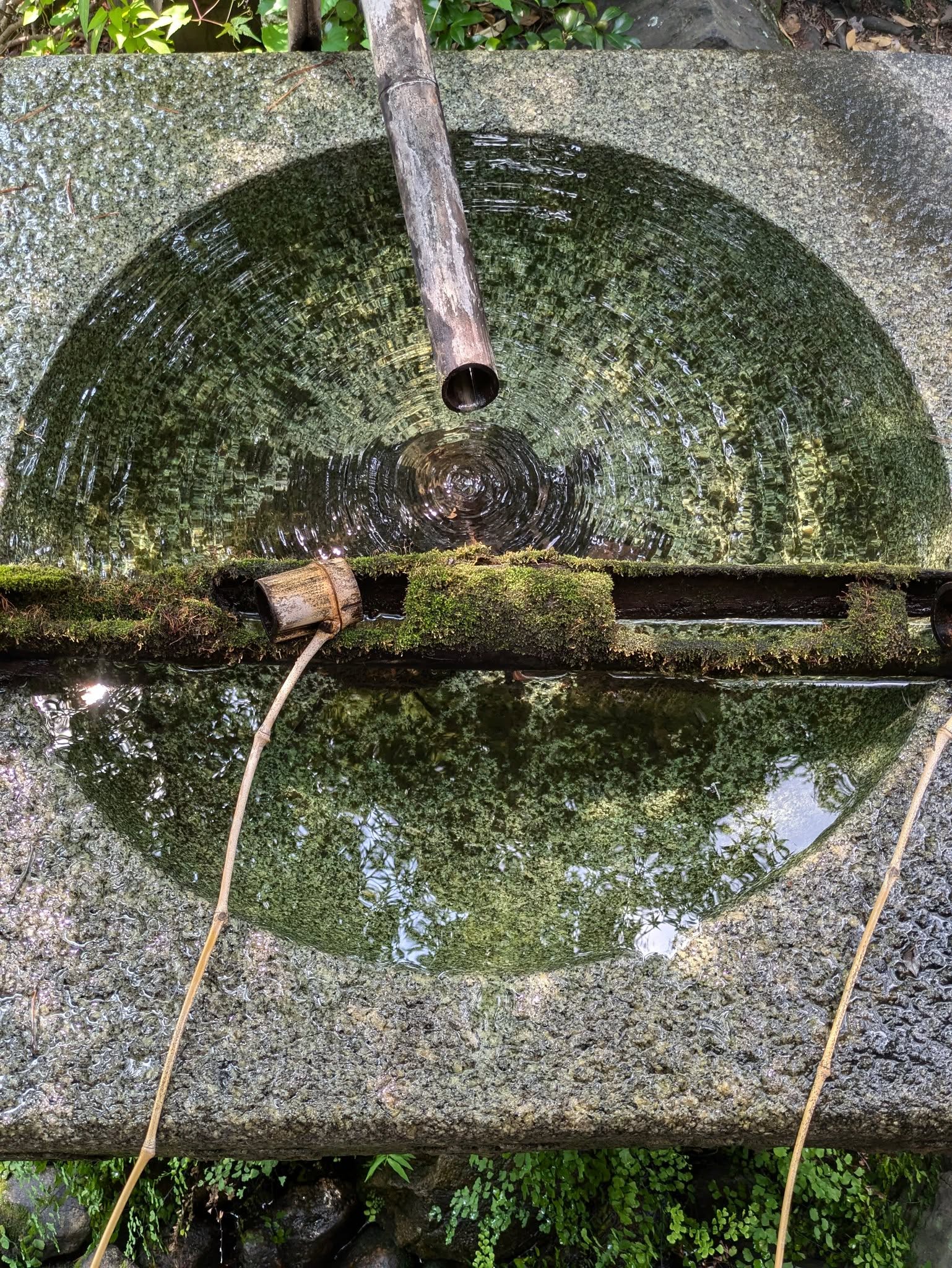 Todo encontraba no en la IA sino en el Manantial